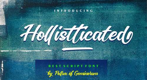 Page d'accueil de Hollistticated